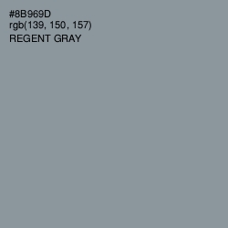 #8B969D - Regent Gray Color Image